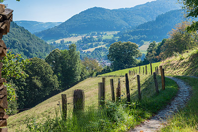 Wandern und Radfahren rund um Münstertal